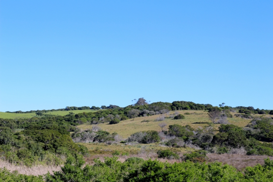 0 Bedroom Property for Sale in Forest Downs Eastern Cape